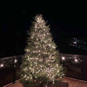 Meet your Posher, Amie